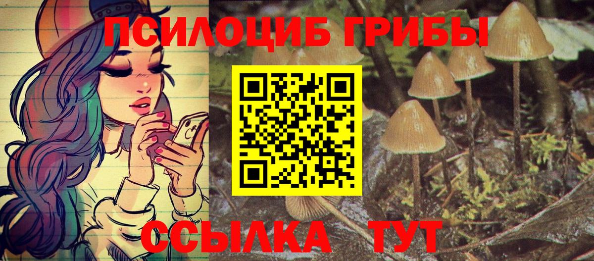 Кириши  Галлюциногенные грибы Cubensis  Вход с VPN  Галлюциногенные грибы Cubensis 