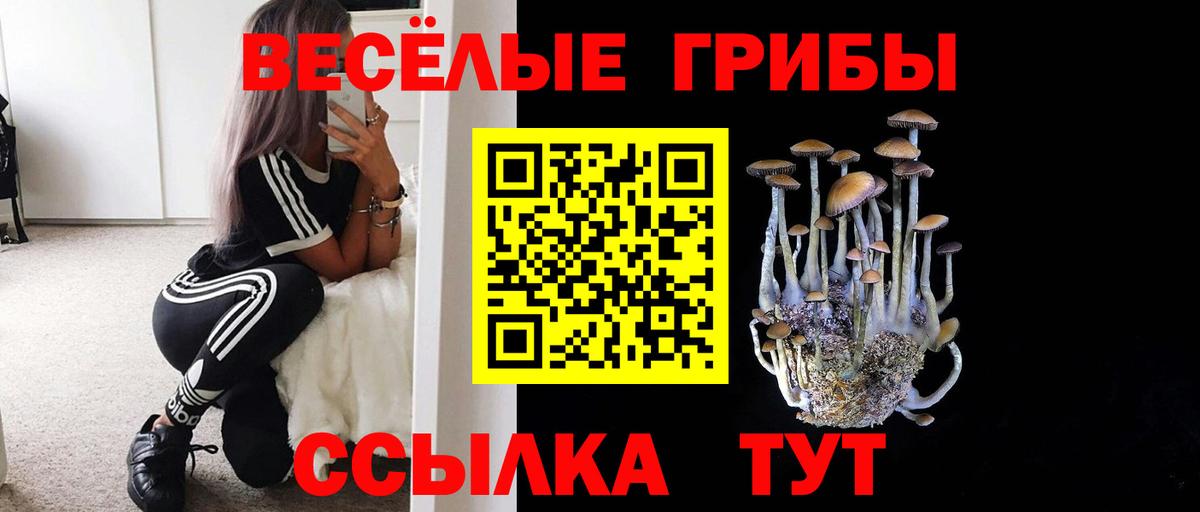 Псилоцибиновые грибы прущие грибы Кириши